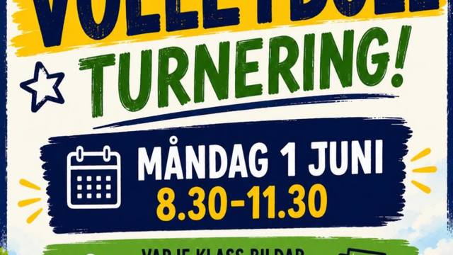 Volleybollturnering.jpg